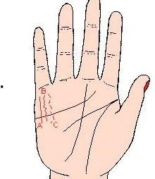 怎样看手相视频