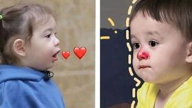 本特利视频,一场视觉盛宴的科技之旅